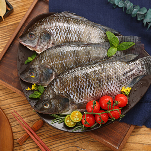 frozen fish