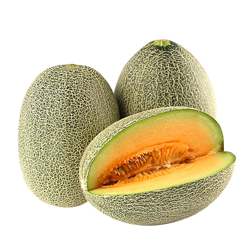 cantaloupe