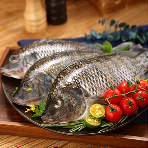 frozen fish