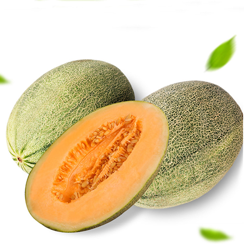 cantaloupe