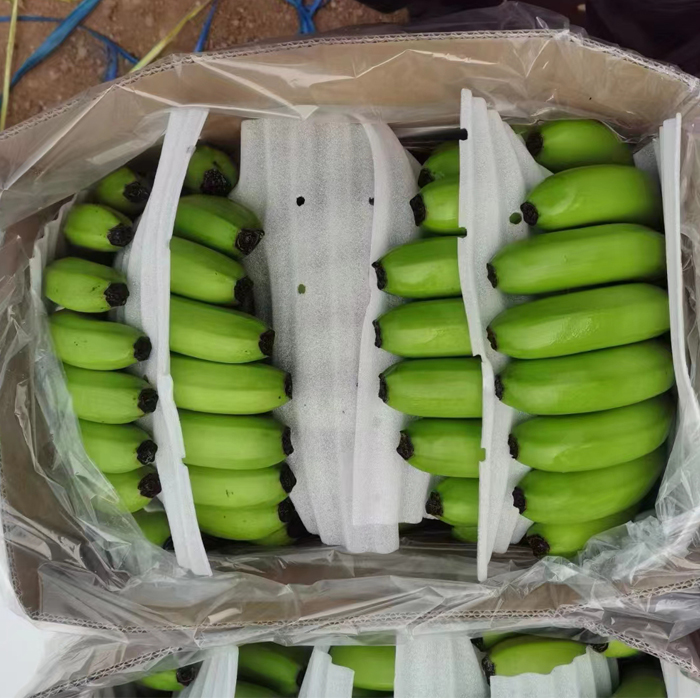organic sweet green banana