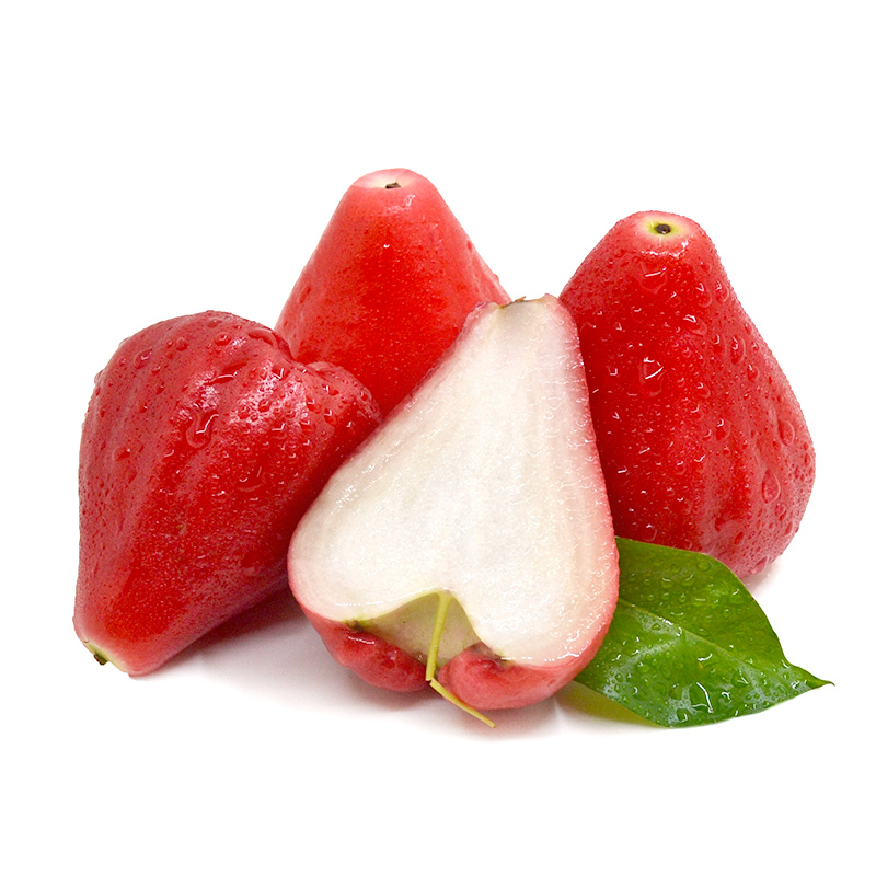 wax apple wholesale