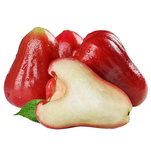 wax apple wholesale